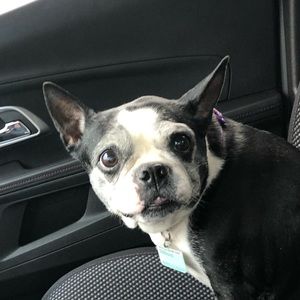 Meet your Posher, Cassie